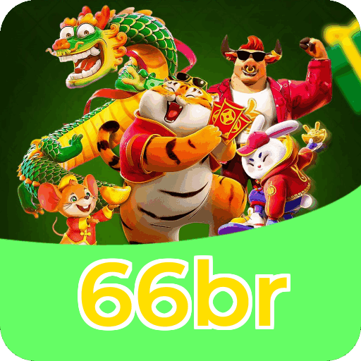 Métodos de pagamento aceitos na 66br
